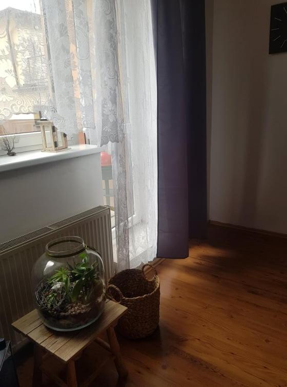 Appartamento Apartmán BESEDA Velke Porici Esterno foto